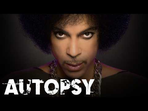 Investigating Prince&#039;s Untimely Death: The Shocking Truth | Our History